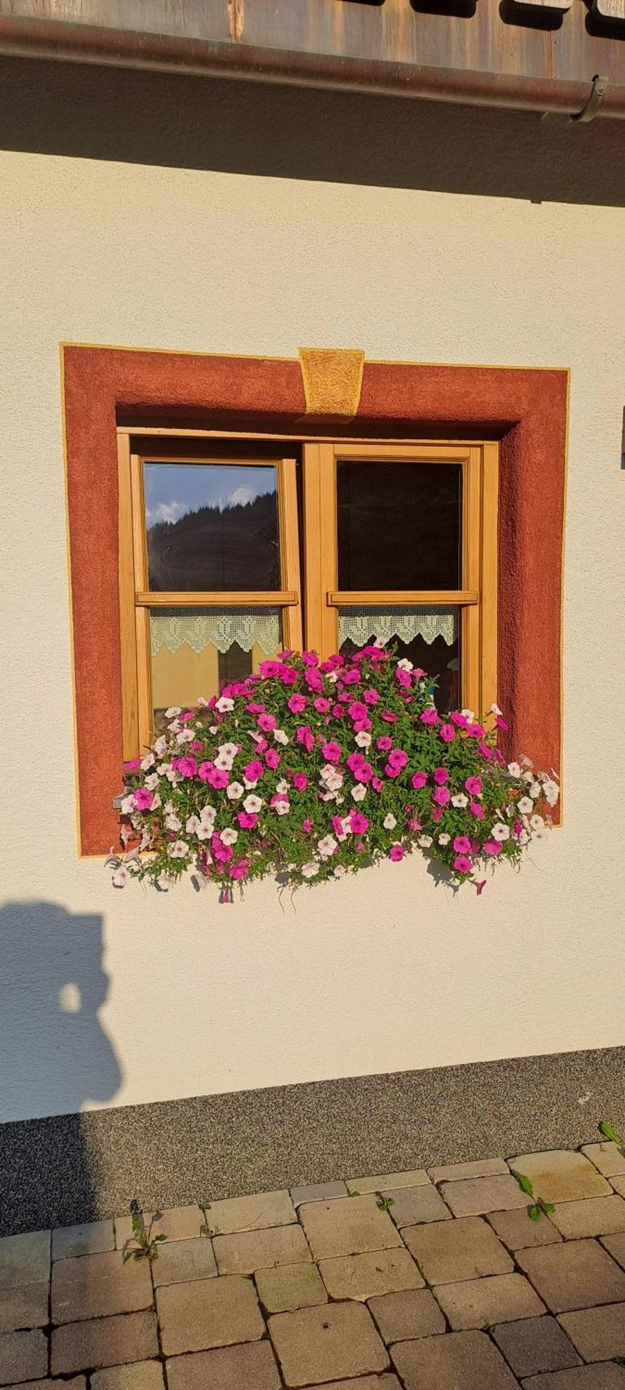 Ferienwohnung Steinernes Meer ماريا ألم ام شتاينر المظهر الخارجي الصورة