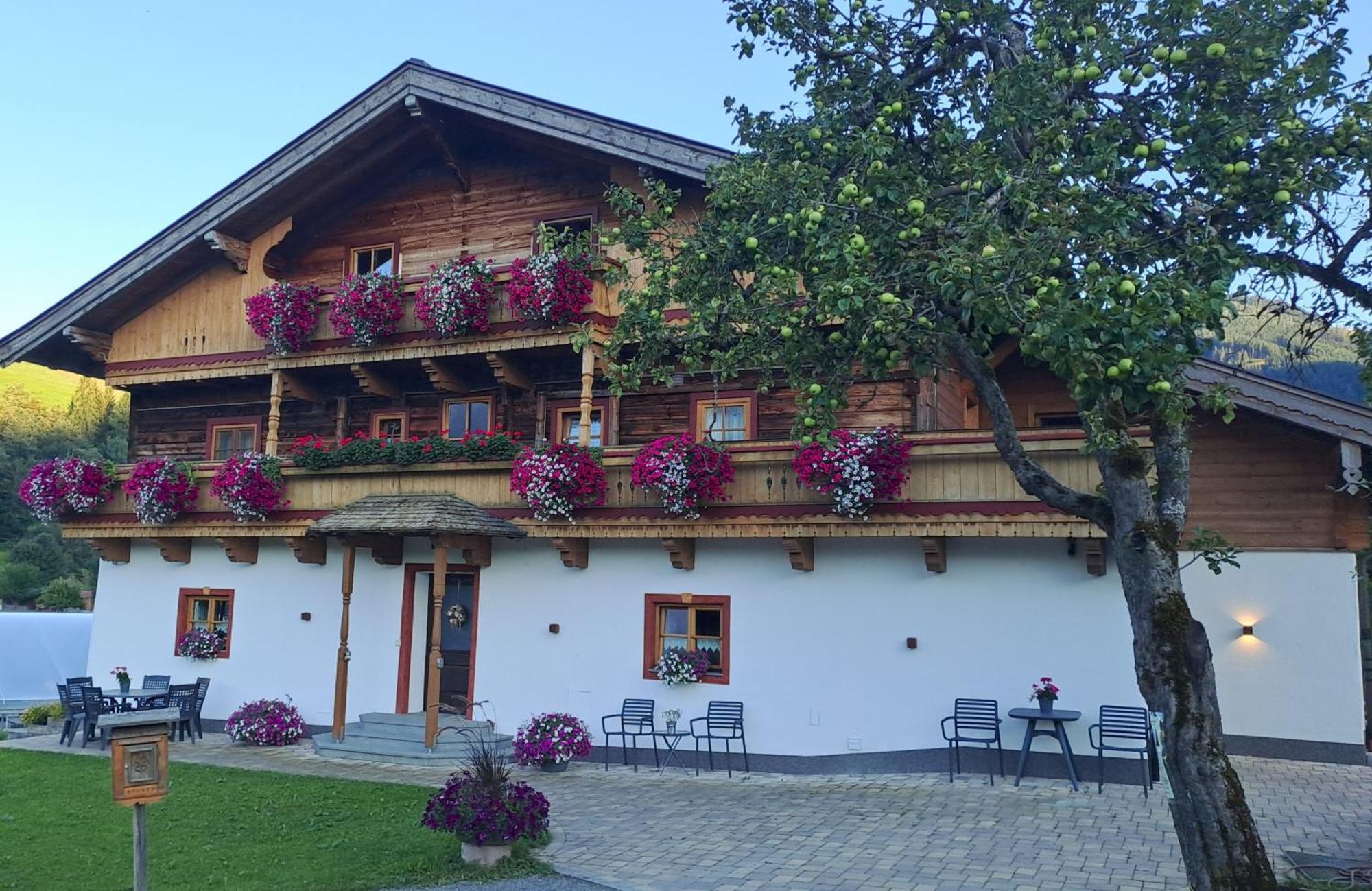 Ferienwohnung Steinernes Meer ماريا ألم ام شتاينر المظهر الخارجي الصورة